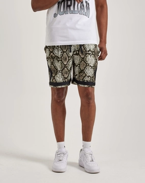 Budget - friendly fashion Jordan Dri-FIT Sport Mesh Diamond Shorts Party wear