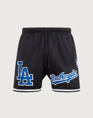 Clothing types Pro Standard Los Angeles Dodgers Logo Mesh Shorts Embroidered fashion