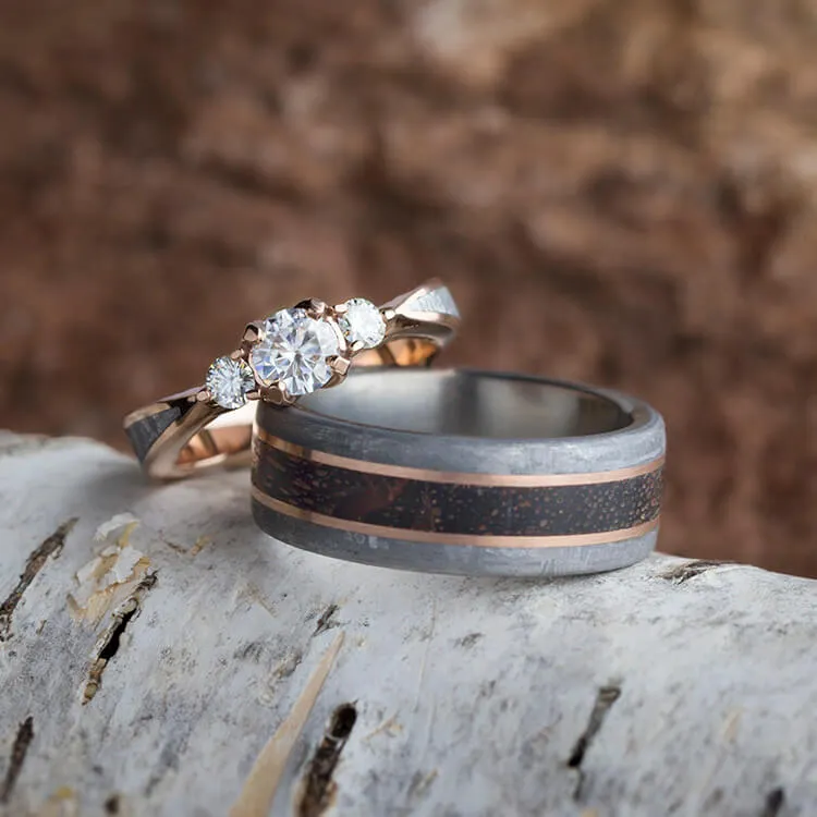 Dinosaur Bone And Meteorite Ring Set