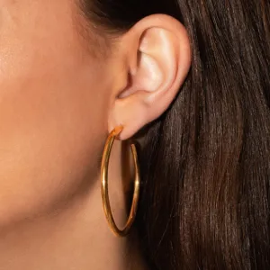 Essential Hoops Gold
