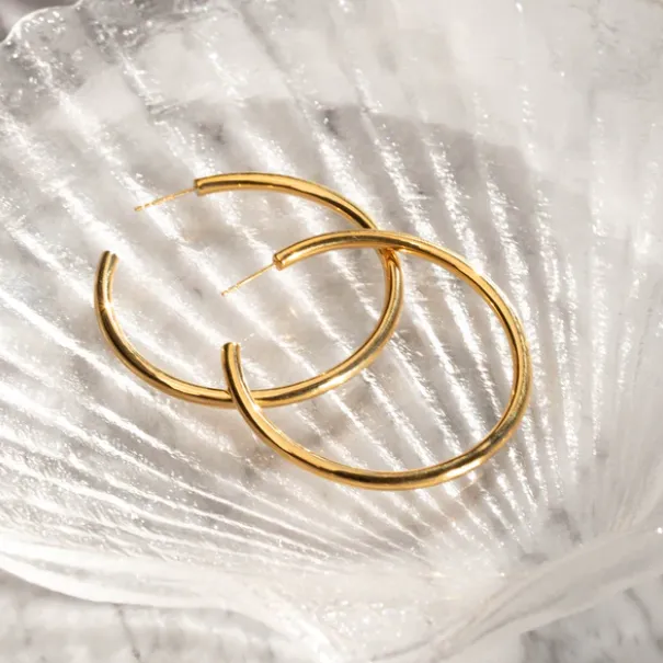 Essential Hoops Gold