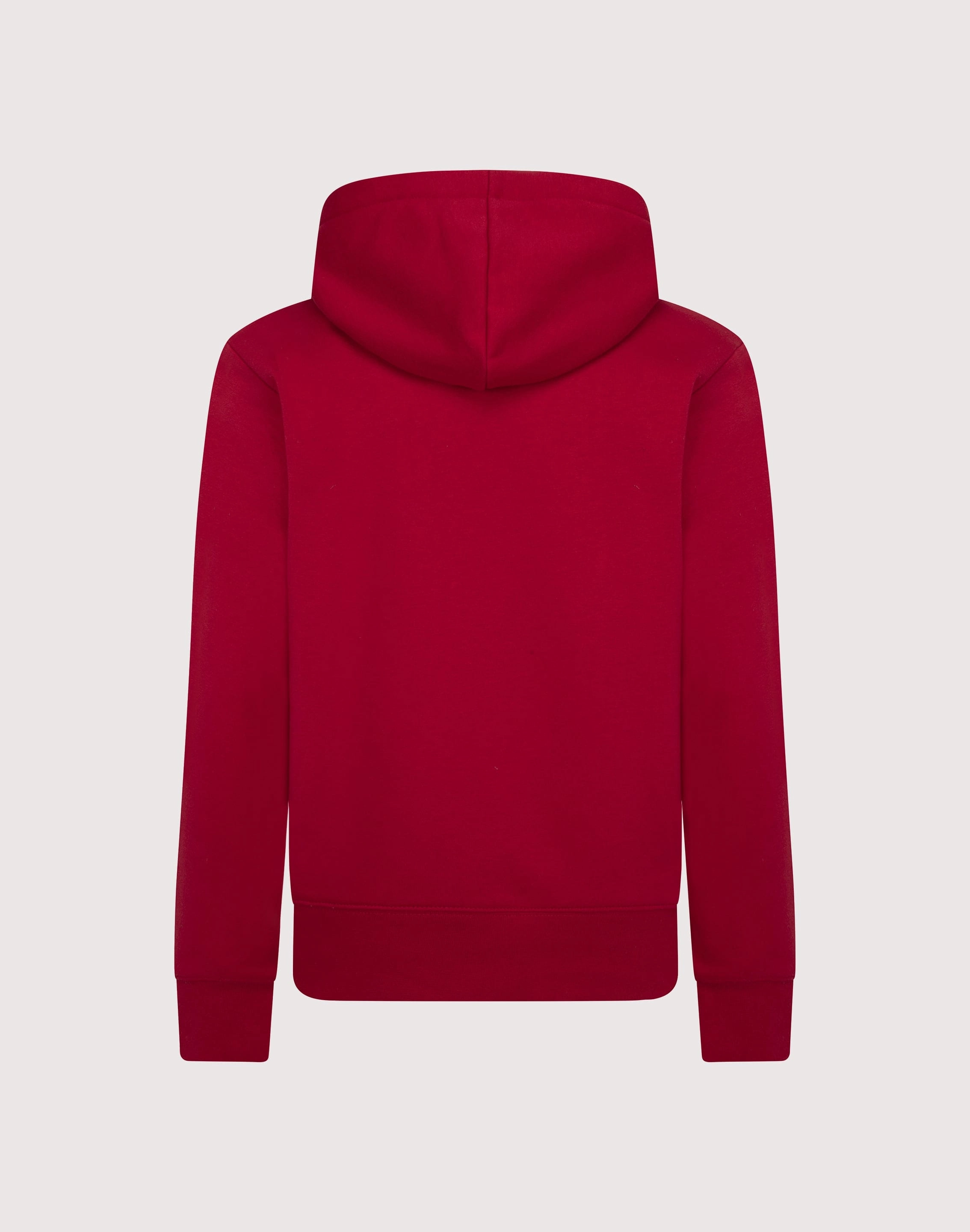 Ethical fashion choices Jordan Big Boys'  AJ1 Hoodie - Christmas Red