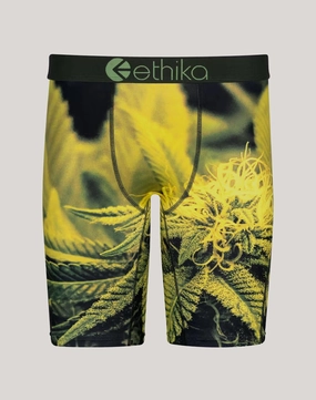 Ethika Green Haze Boxer Briefs Runway fashion Clothing and accessories