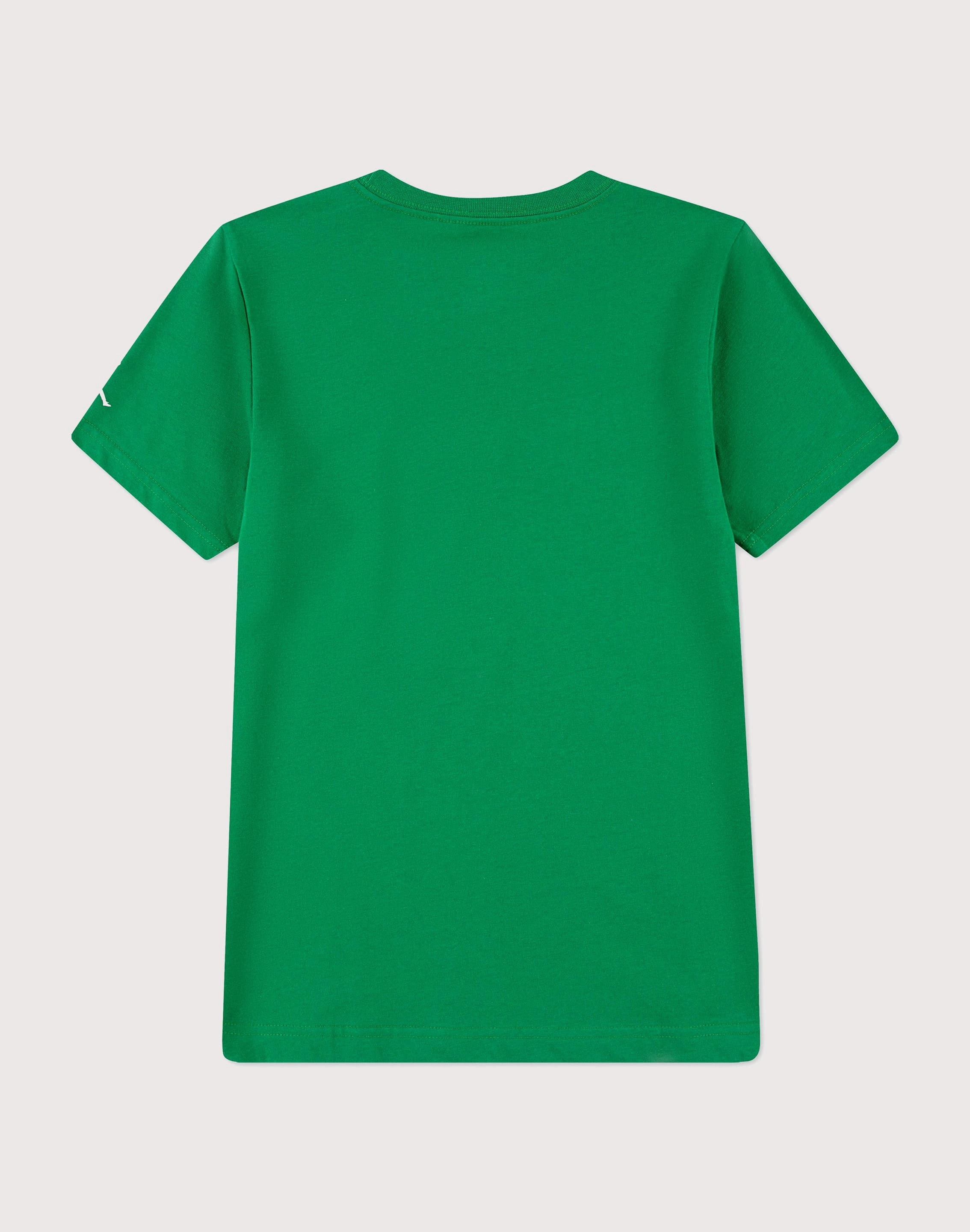 Fashion swaps Jordan Jordan 23 Mesh Big Boys' Green Tee