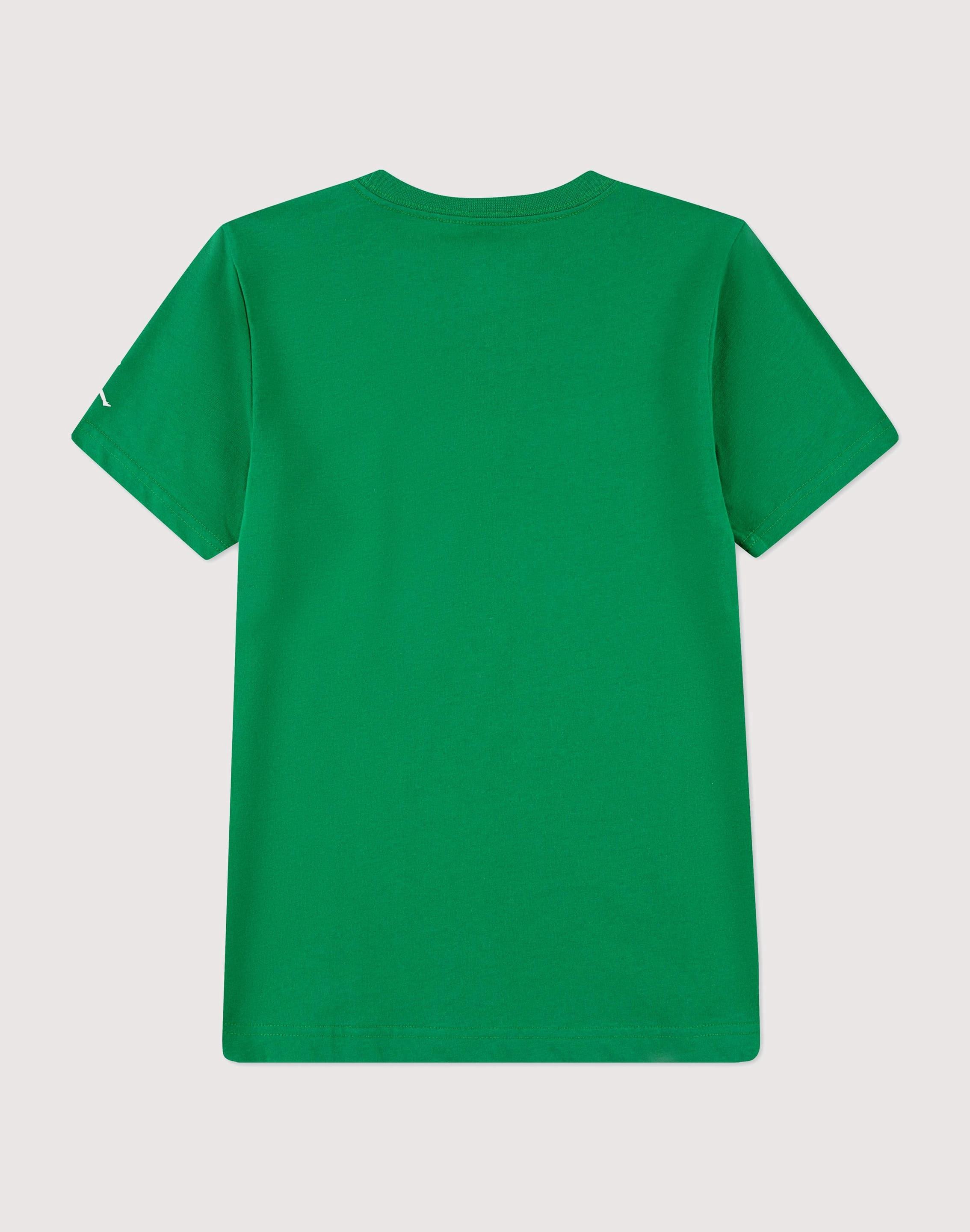 Fashion swaps Jordan Jordan 23 Mesh Big Boys' Green Tee