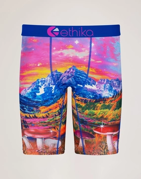 Formal wear selections Ethika Magic Mushiez Boxer Briefs Denim - based fashion