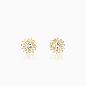 Golden Cielo Earrings