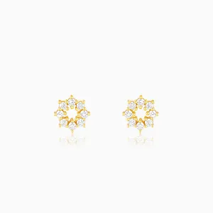 Golden Sparkling Earrings