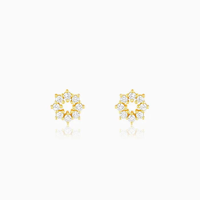 Golden Sparkling Earrings
