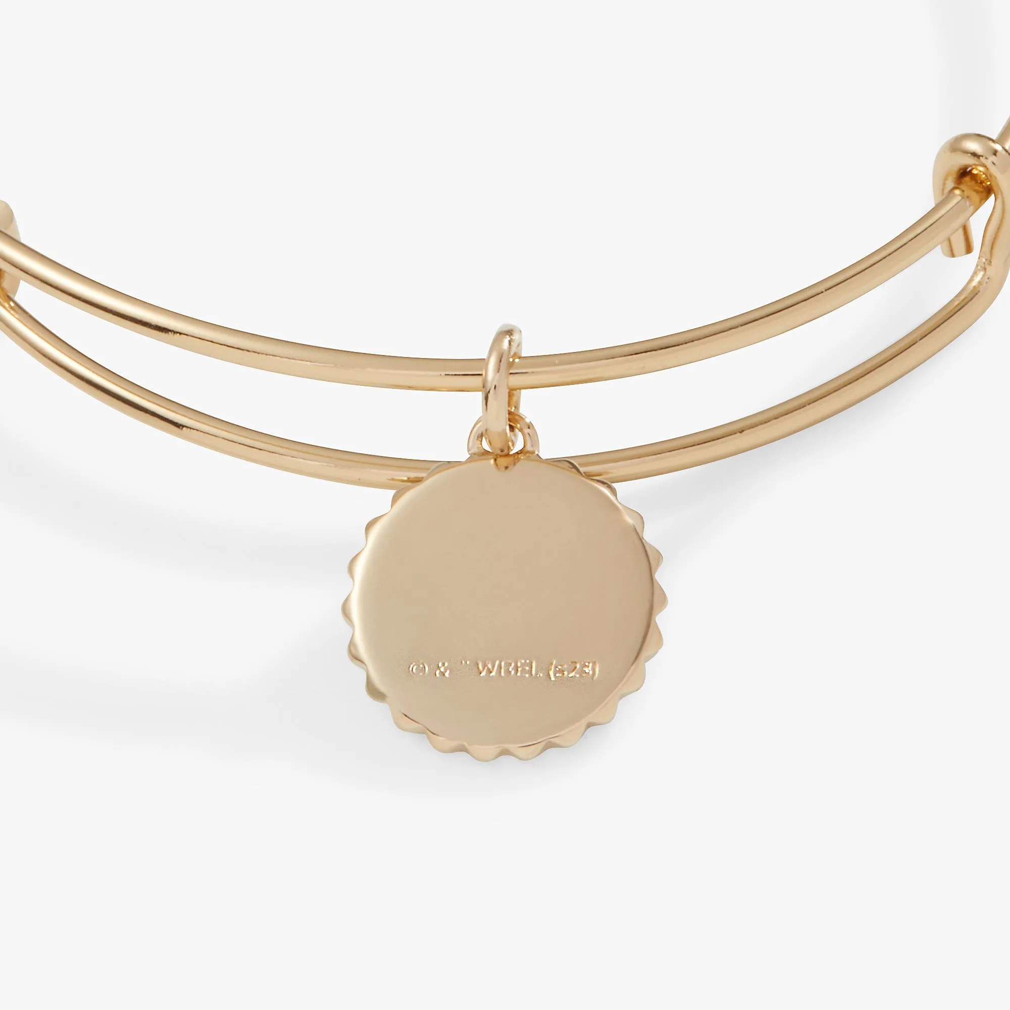 Harry Potter? Gryffindor House Charm Bangle