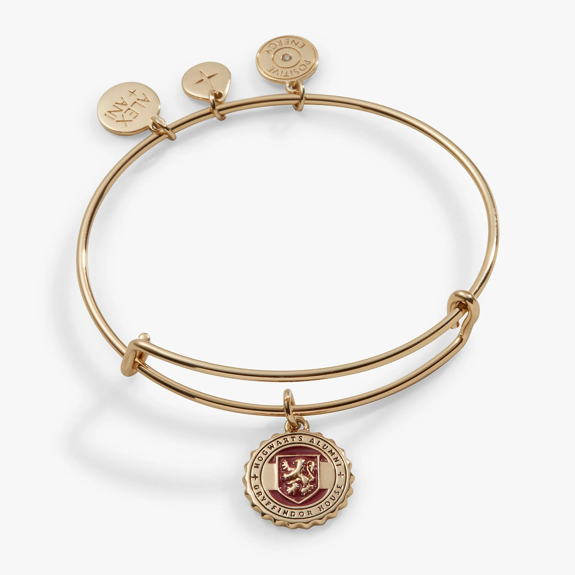 Harry Potter? Gryffindor House Charm Bangle