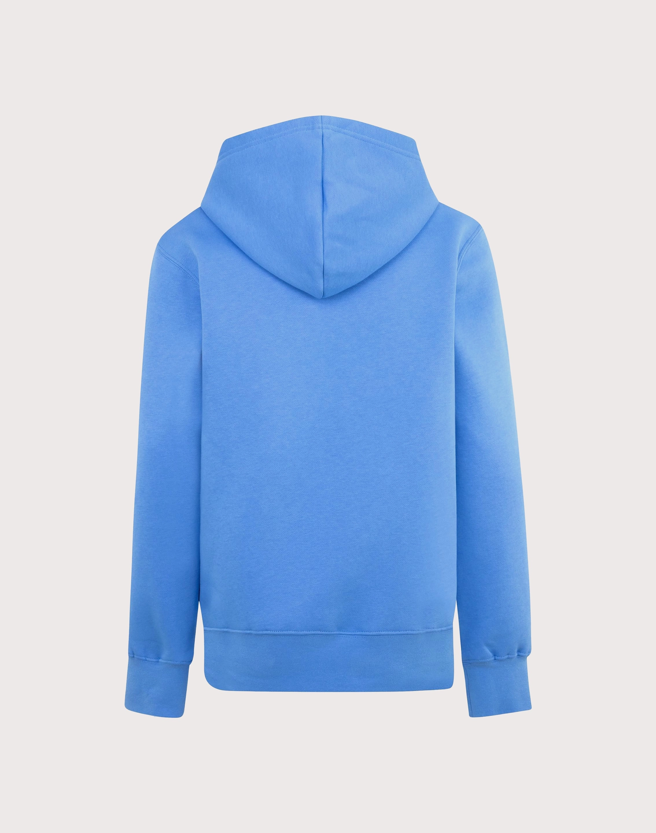Jordan Brooklyn Fleece Hoodie Fashionable options