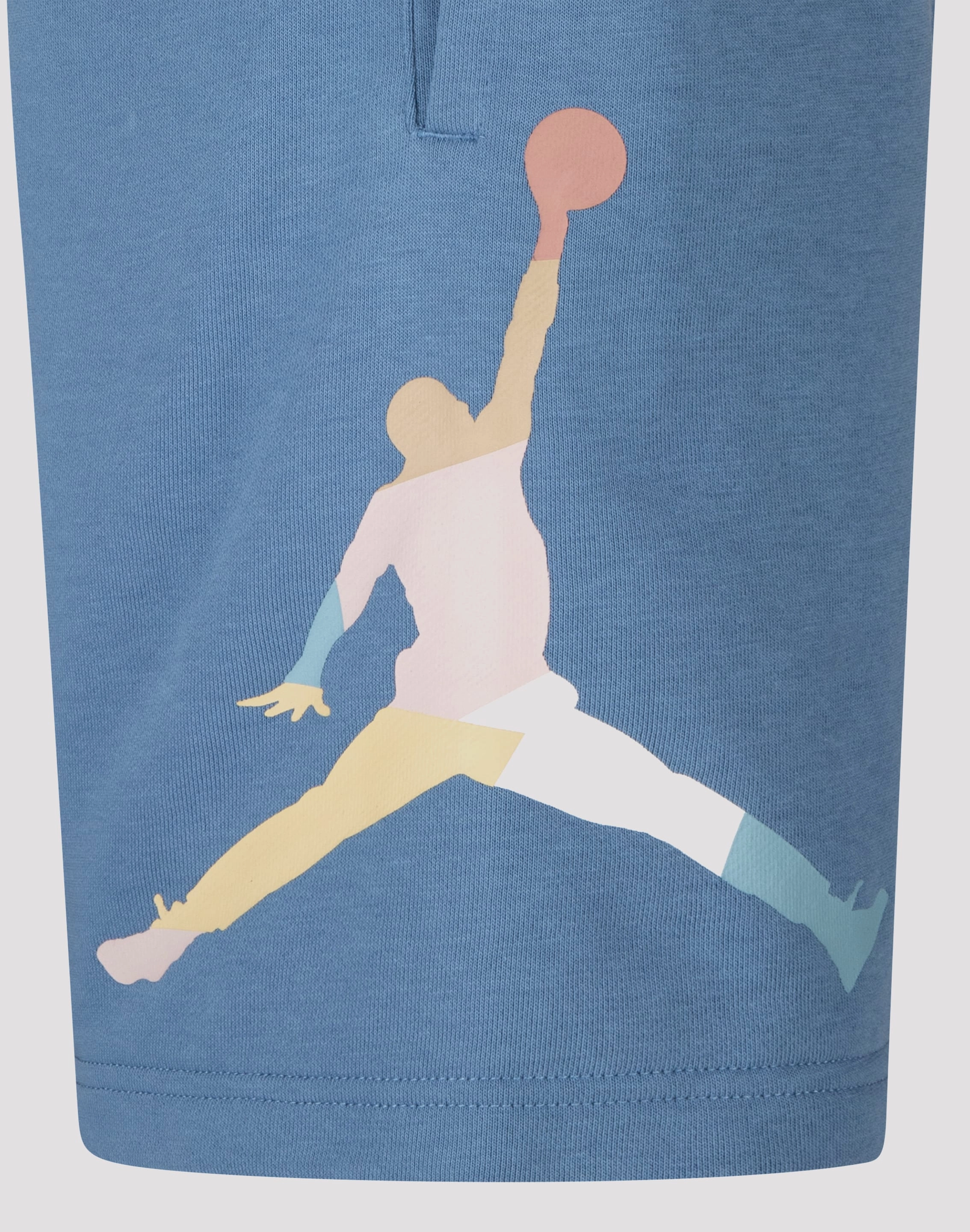 Jordan Zen Master Shorts Fashion swaps
