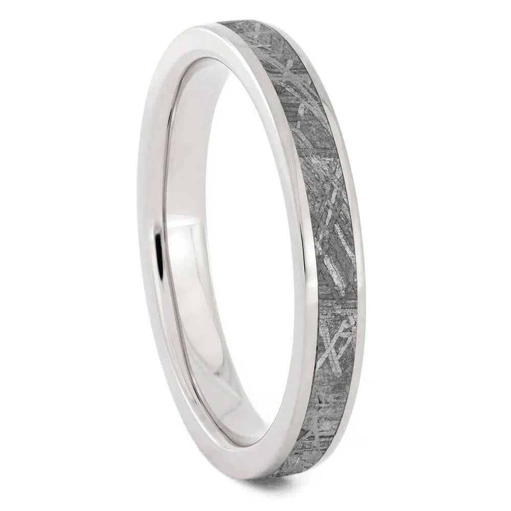 Meteorite & Dino Bone Matching Wedding Bands