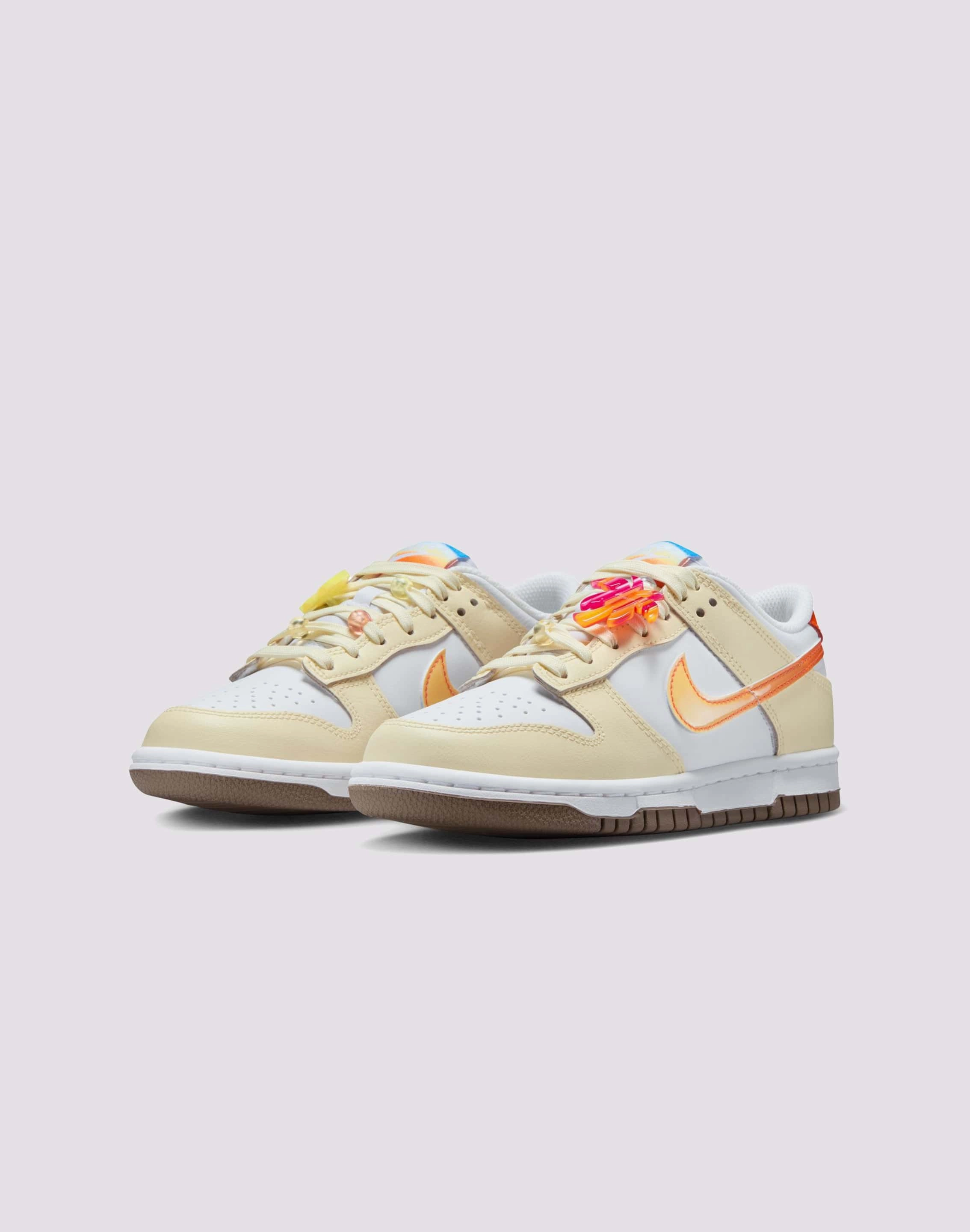 Minimalist fashion Nike Dunk Low Grade-School