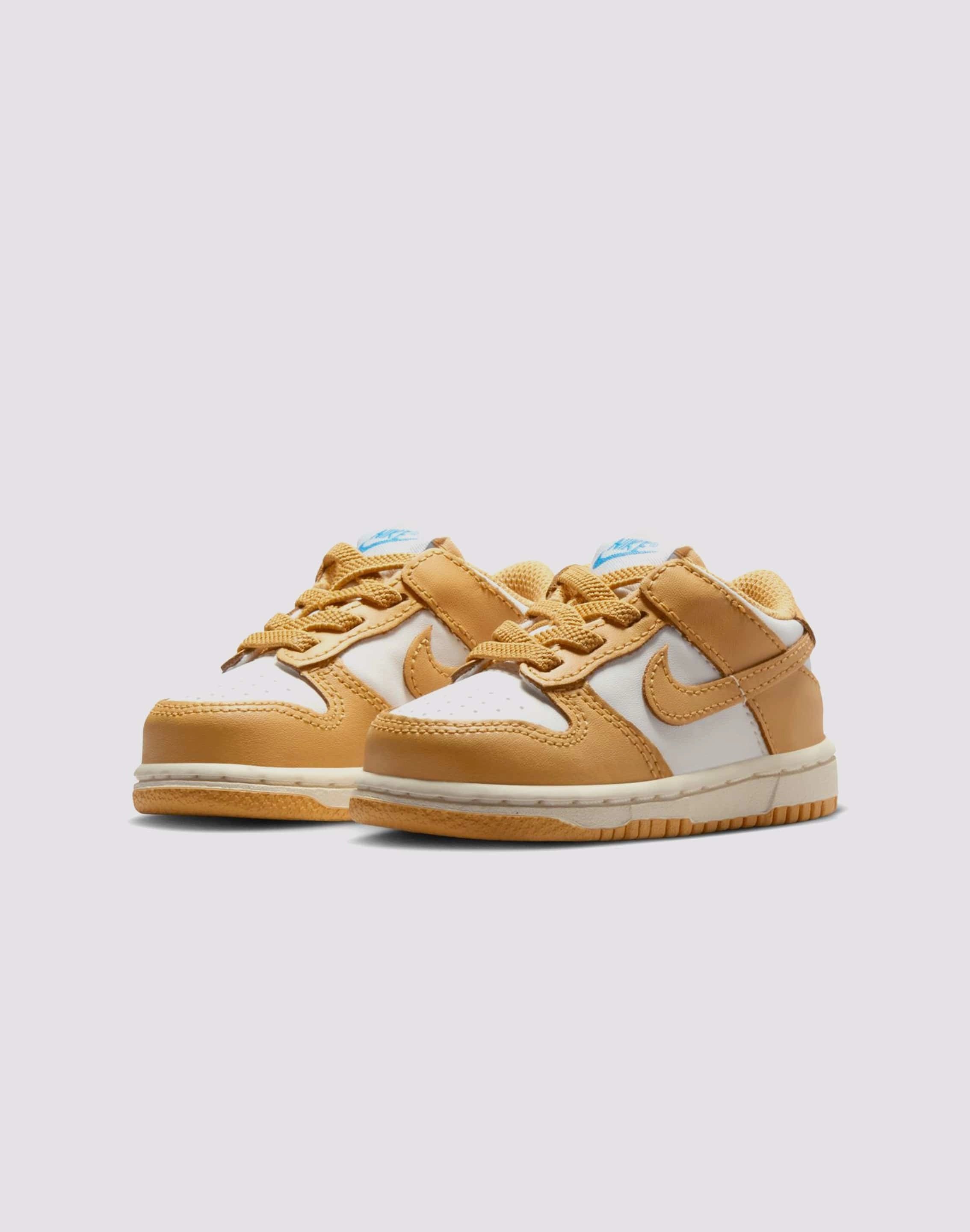 Minimalist fashion Nike Dunk Low Toddler