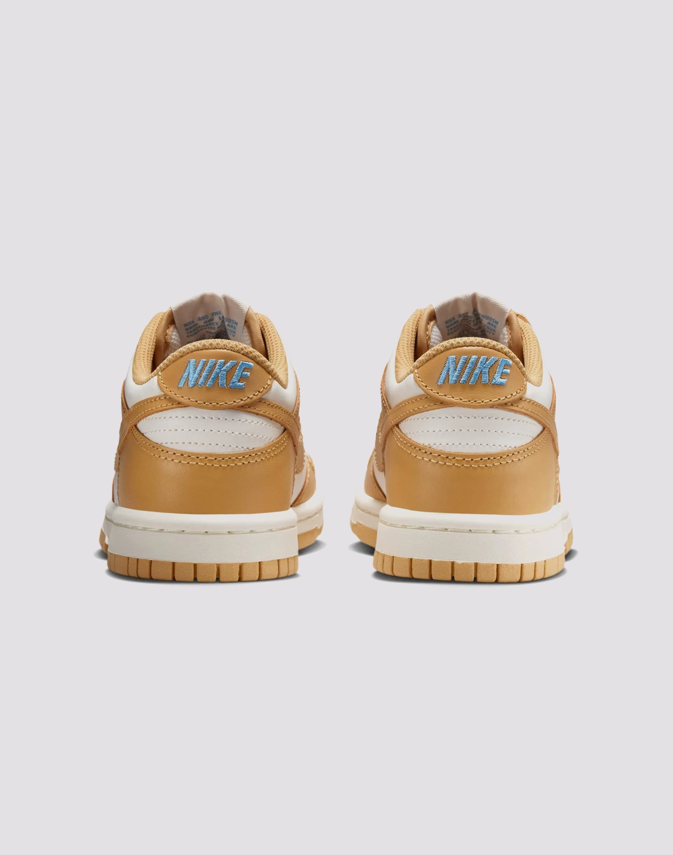 Nike Dunk Low Grade-School Fashion culture