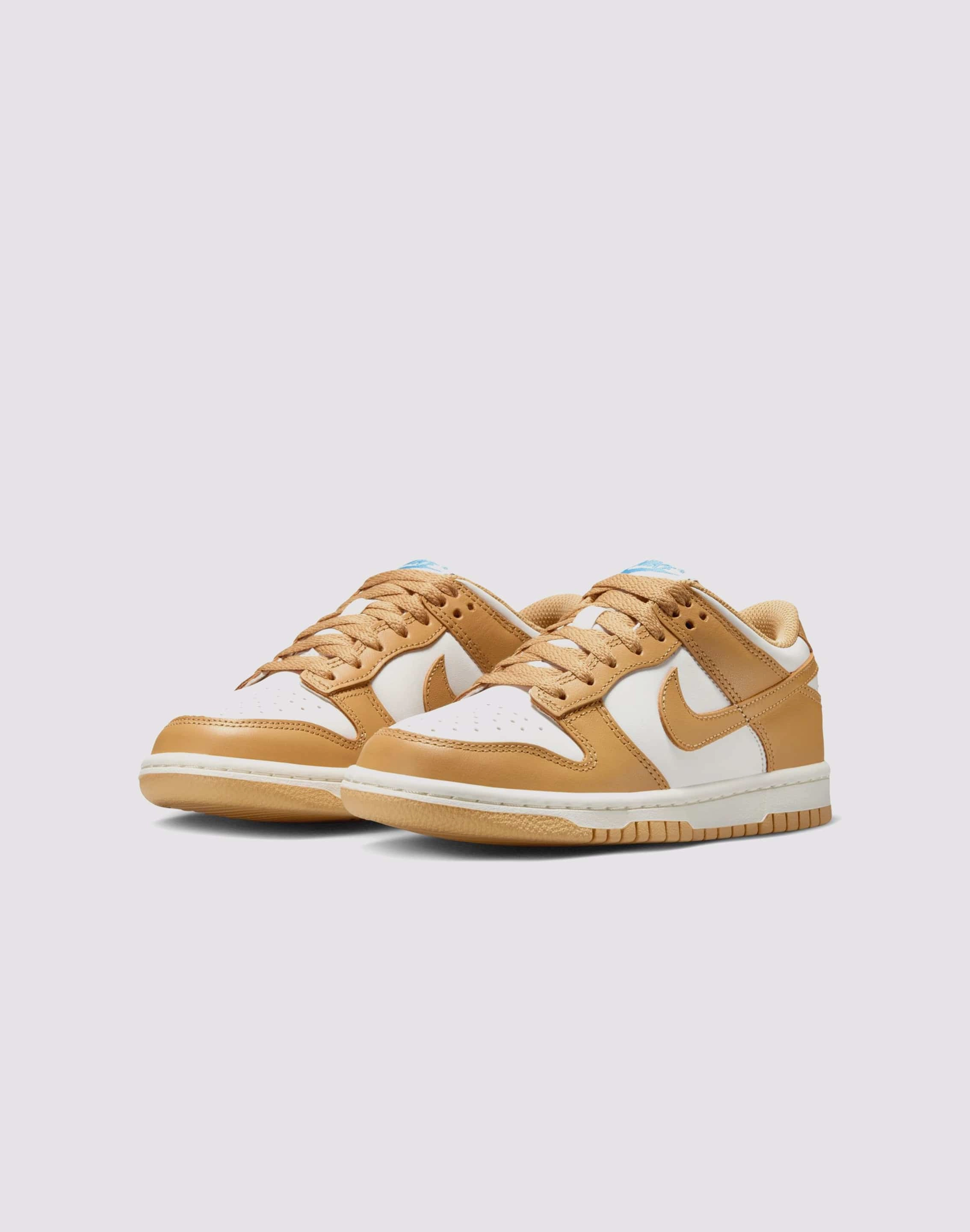 Nike Dunk Low Grade-School Fashion culture