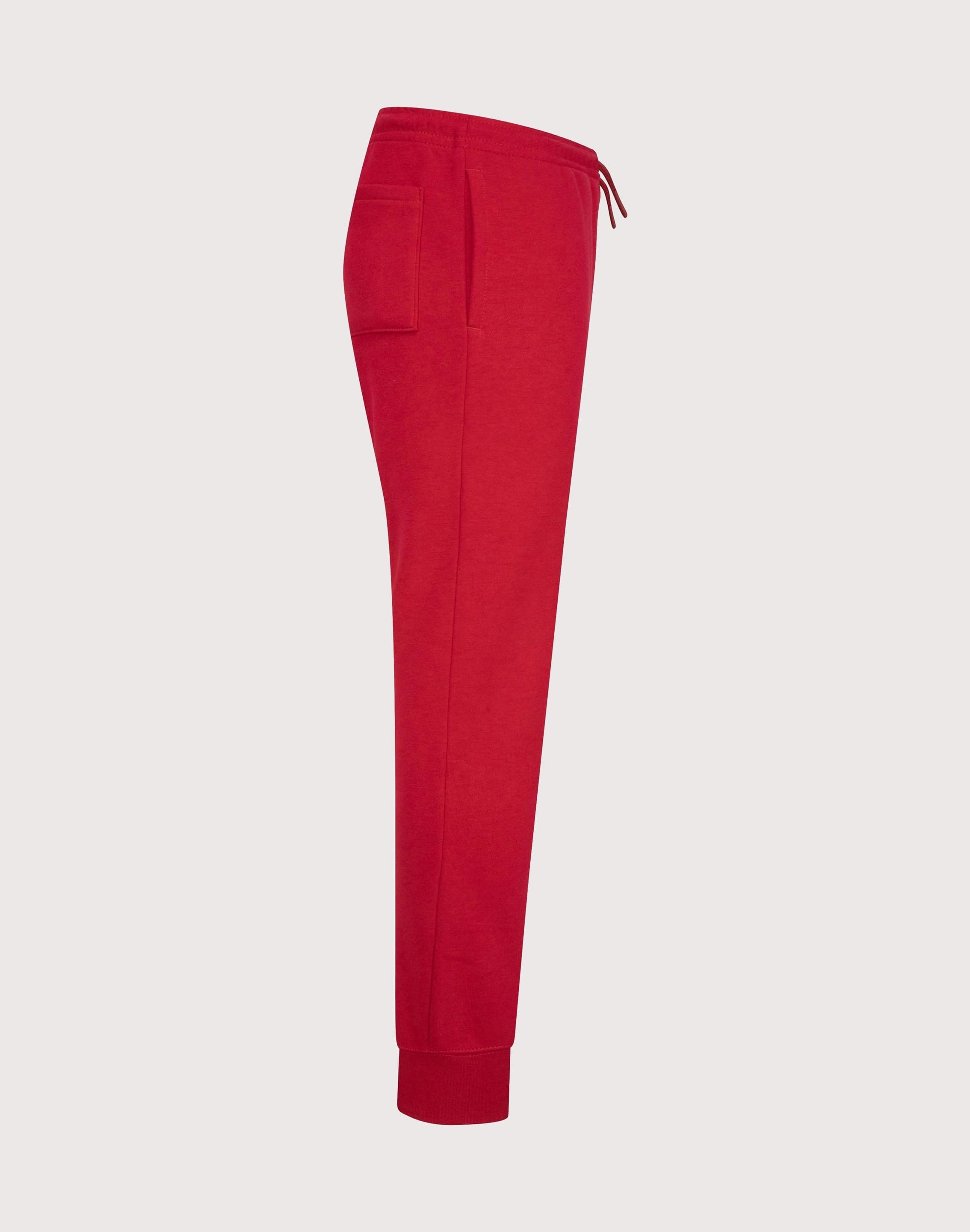 Retro fashion finds Jordan Big Boys'  Brooklyn Fleece Pants - Red