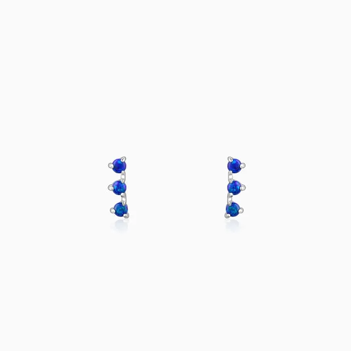 Silver Elegantly Attractive Earrings