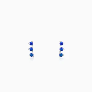 Silver Elegantly Attractive Earrings