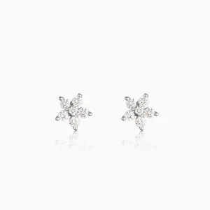 Silver Floral earrings