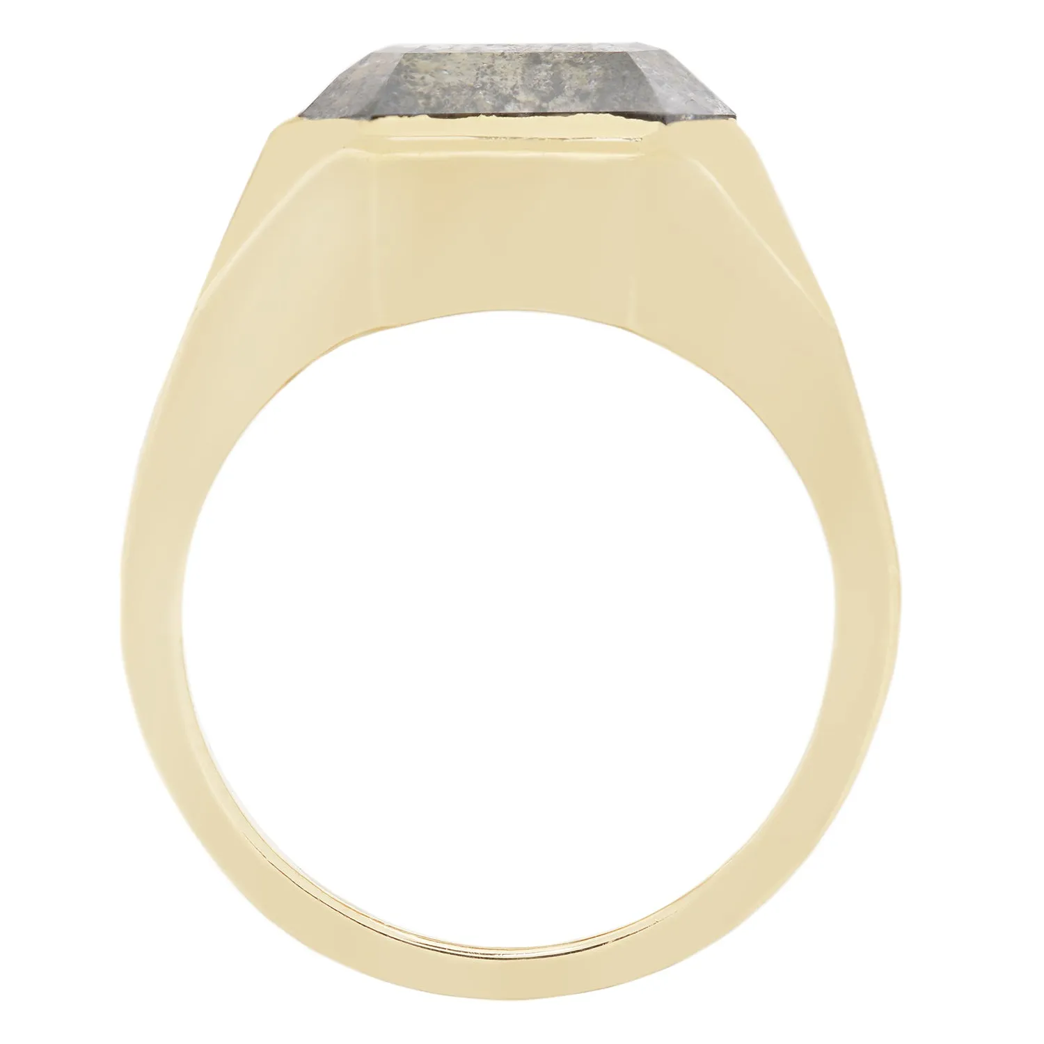 Stardust Diamond Signet Ring