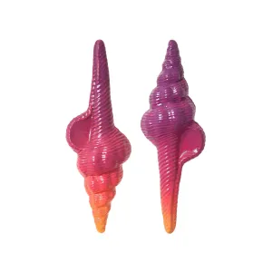Sunset Shell Earrings