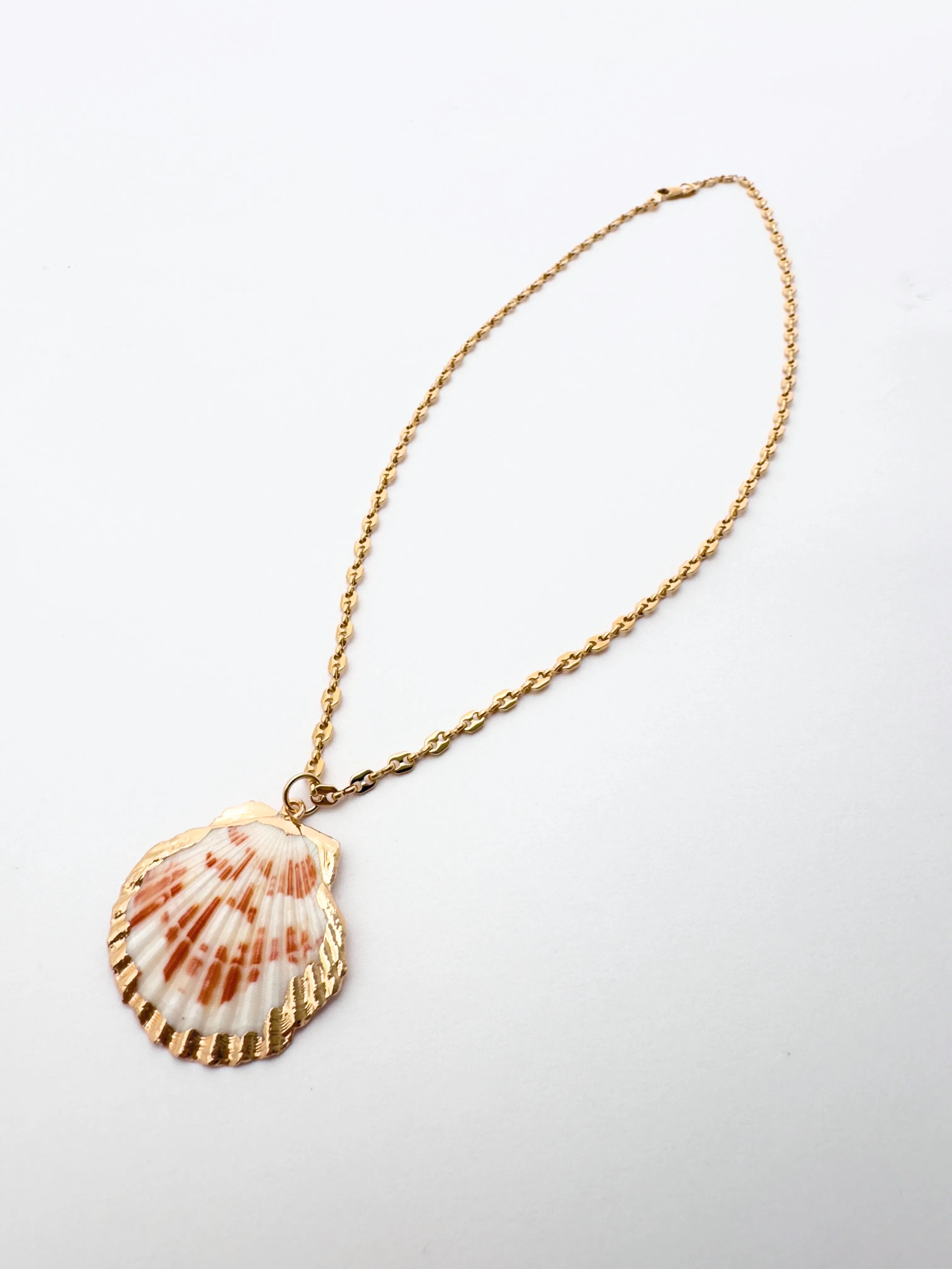 The Shell Necklace