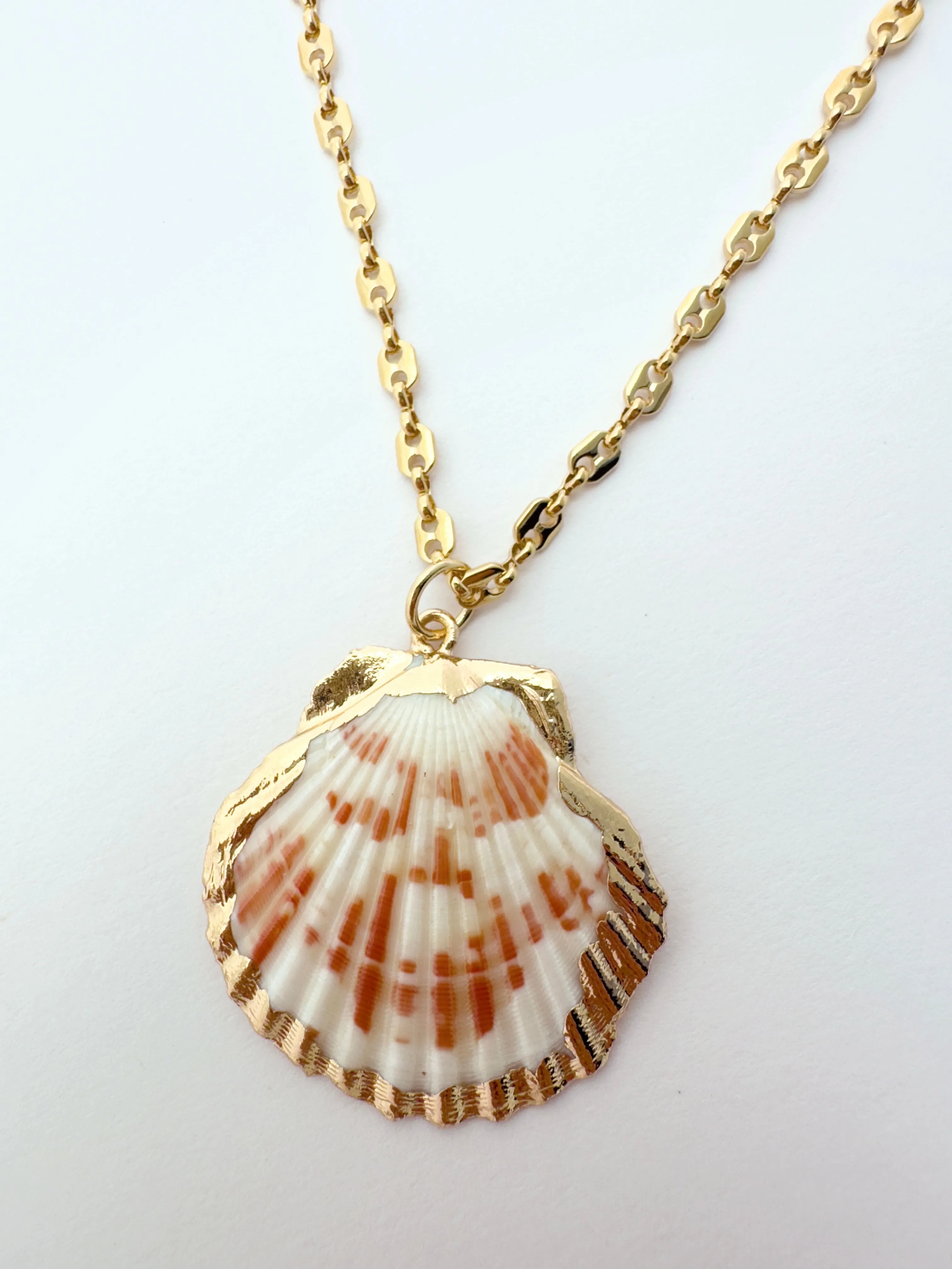 The Shell Necklace