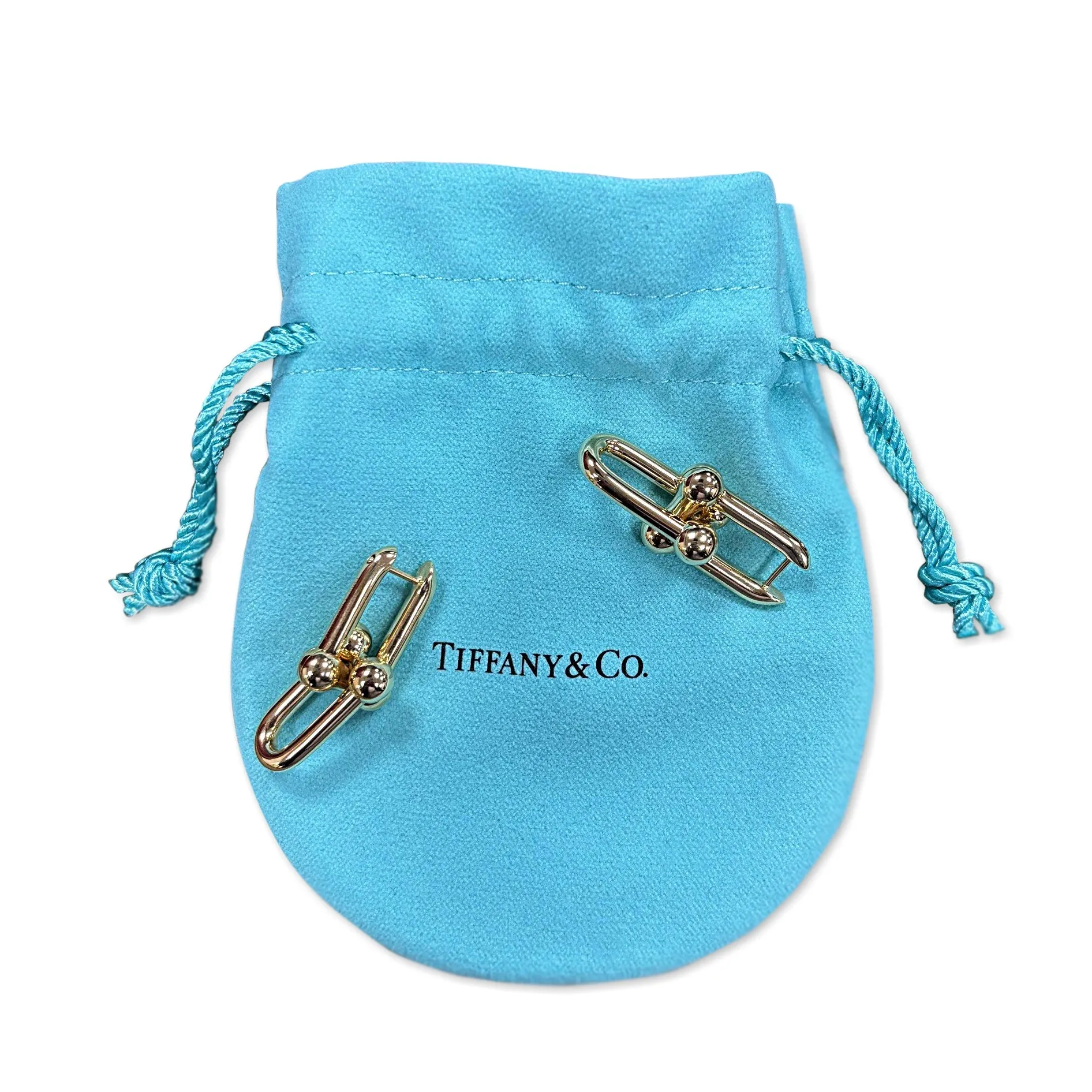 Tiffany Hardware Large Link Earrings