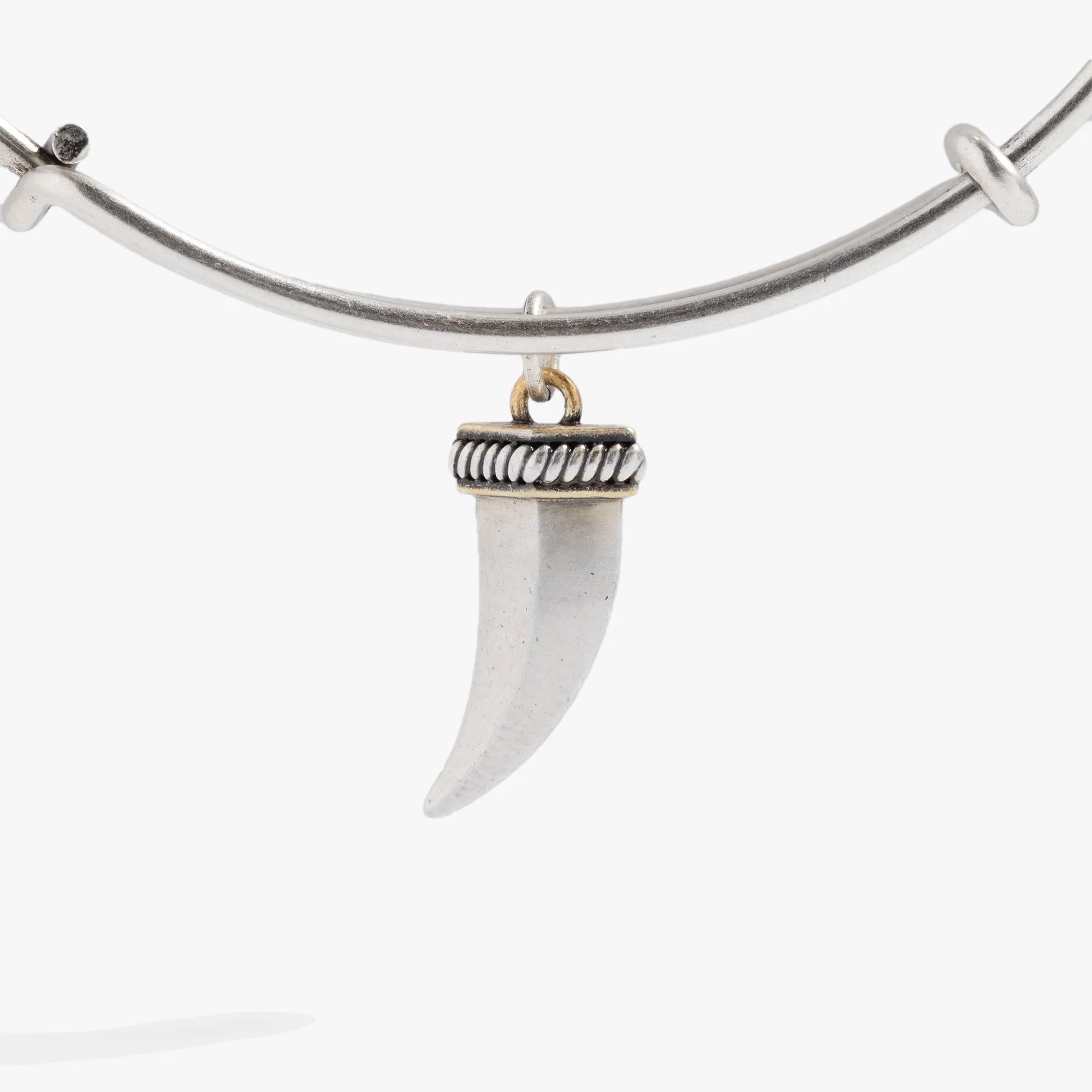 Two-Tone Horn Charm Bangle